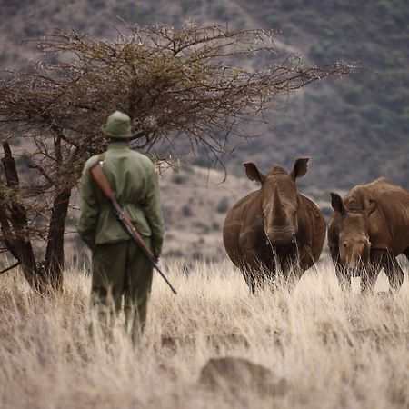 Hotel Elewana Lewa Safari Camp Timau Exterior foto